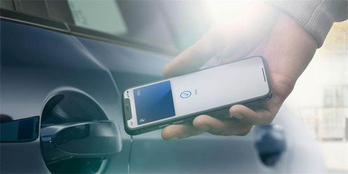 9.79万起 长安家族再添两款蓝鲸动力车型 苹果手机周边产品